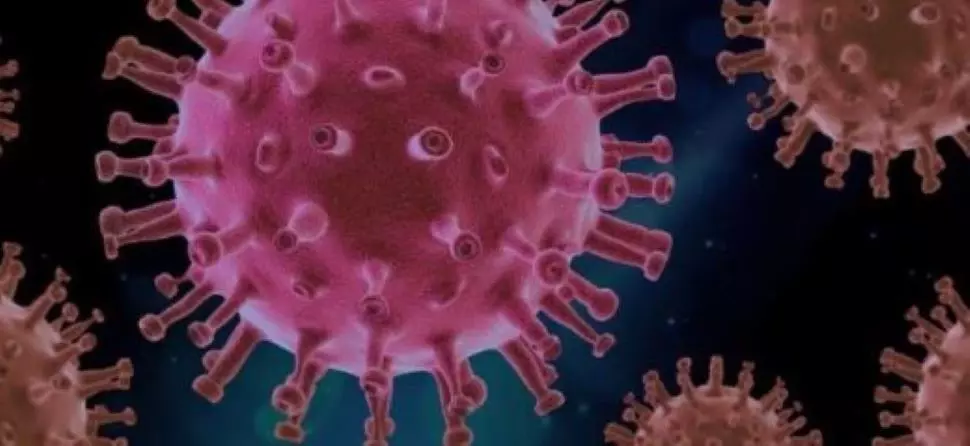 Virus Corona ảnh hưởng như thế nào đến cuộc sống của người mù trên toàn thế giới?